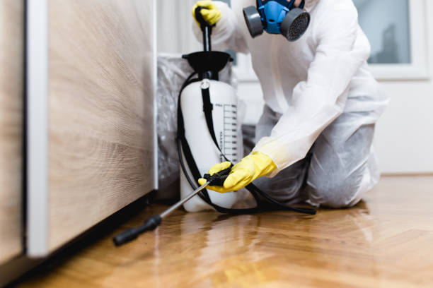 Best Local Pest Control Services  in Haiku Pauwela, HI