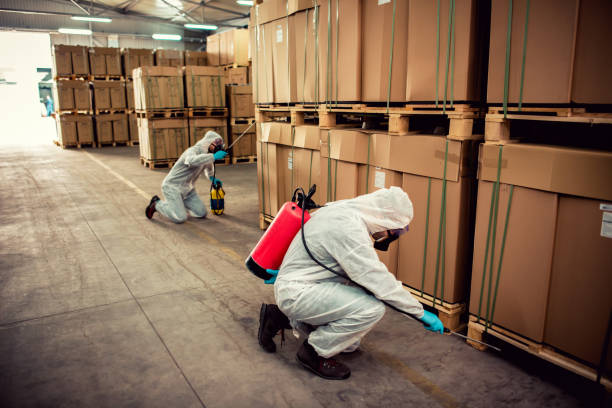 Best Termite Control Services  in Haiku Pauwela, HI