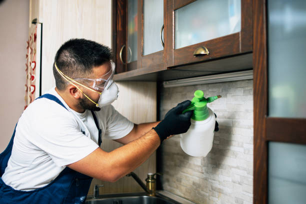 Best Commercial Pest Control Services  in Haiku Pauwela, HI