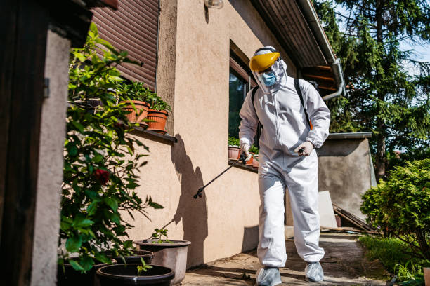 Best Pest Removal Services  in Haiku Pauwela, HI