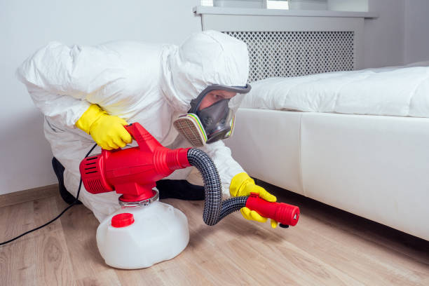 Best Exterminator Services  in Haiku Pauwela, HI